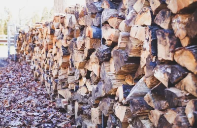 Sustainable Firewood Practices