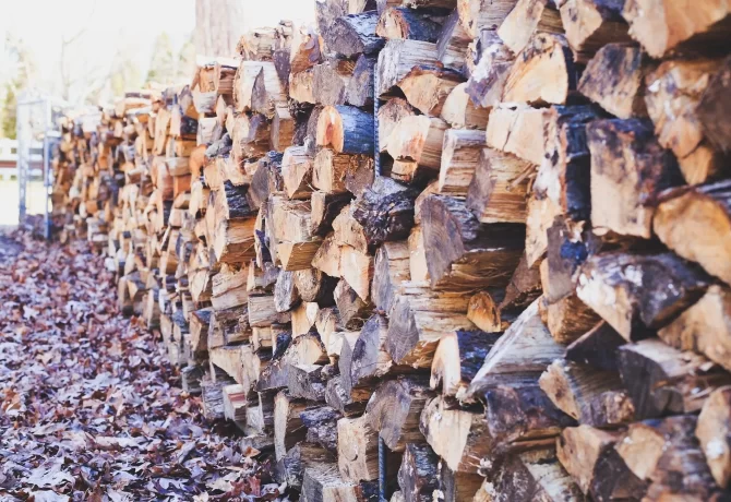 Sustainable Firewood Practices